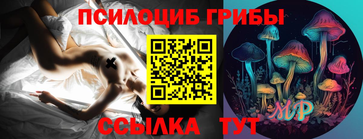 Великий Устюг  Псилоцибиновые грибы Magic Shrooms  Вход с VPN  Галлюциногенные грибы GOLDEN TEACHER 